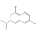 anti-HYAL1 antibody (Hyaluronidase-1) (N-Term)