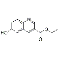 anti-HYAL1 antibody (Hyaluronidase-1) (N-Term)