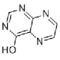 anti-HYAL1 antibody (Hyaluronidase-1) (N-Term)