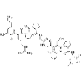 anti-HYAL1 antibody (Hyaluronidase-1) (N-Term)