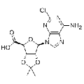 anti-HYAL1 antibody (Hyaluronidase-1) (N-Term)
