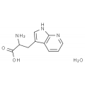 anti-HYAL1 antibody (Hyaluronidase-1) (N-Term)