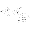 anti-HYAL1 antibody (Hyaluronidase-1) (N-Term)