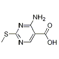 anti-HYAL1 antibody (Hyaluronidase-1) (N-Term)