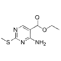anti-HYAL1 antibody (Hyaluronidase-1) (N-Term)