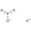 anti-HYAL1 antibody (Hyaluronidase-1) (N-Term)