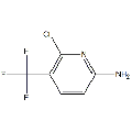anti-HYAL1 antibody (Hyaluronidase-1) (N-Term)