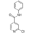 anti-HYAL1 antibody (Hyaluronidase-1) (N-Term)