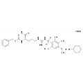 anti-HYAL1 antibody (Hyaluronidase-1) (N-Term)