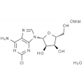 anti-HYAL1 antibody (Hyaluronidase-1) (N-Term)