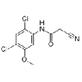 anti-HYAL1 antibody (Hyaluronidase-1) (N-Term)