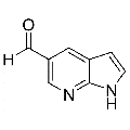 anti-HYAL1 antibody (Hyaluronidase-1) (N-Term)