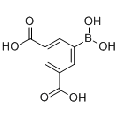 anti-HYAL1 antibody (Hyaluronidase-1) (N-Term)