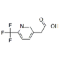 anti-HYAL1 antibody (Hyaluronidase-1) (N-Term)