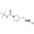 anti-HYAL1 antibody (Hyaluronidase-1) (N-Term)
