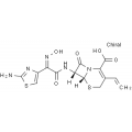 anti-HYAL1 antibody (Hyaluronidase-1) (N-Term)