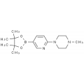 anti-HYAL1 antibody (Hyaluronidase-1) (N-Term)