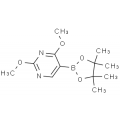 anti-HYAL1 antibody (Hyaluronidase-1) (N-Term)