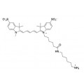anti-HYAL1 antibody (Hyaluronidase-1) (N-Term)