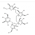 anti-HYAL1 antibody (Hyaluronidase-1) (N-Term)