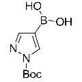 anti-HYAL1 antibody (Hyaluronidase-1) (N-Term)