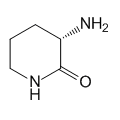 anti-HYAL1 antibody (Hyaluronidase-1) (N-Term)