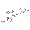 anti-HYAL1 antibody (Hyaluronidase-1) (N-Term)
