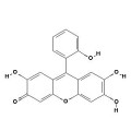 anti-HYAL1 antibody (Hyaluronidase-1) (N-Term)
