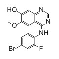 anti-HYAL1 antibody (Hyaluronidase-1) (N-Term)