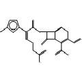anti-HYAL1 antibody (Hyaluronidase-1) (N-Term)