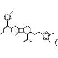 anti-HYAL1 antibody (Hyaluronidase-1) (N-Term)