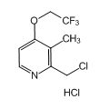 anti-HYAL1 antibody (Hyaluronidase-1) (N-Term)