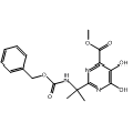 anti-HYAL1 antibody (Hyaluronidase-1) (N-Term)