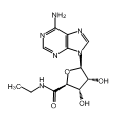 anti-HYAL1 antibody (Hyaluronidase-1) (N-Term)