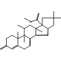 anti-HYAL1 antibody (Hyaluronidase-1) (N-Term)