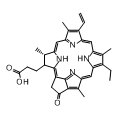 anti-HYAL1 antibody (Hyaluronidase-1) (N-Term)