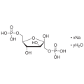 anti-HYAL1 antibody (Hyaluronidase-1) (N-Term)