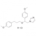 anti-HYAL1 antibody (Hyaluronidase-1) (N-Term)