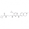 anti-HYAL1 antibody (Hyaluronidase-1) (N-Term)