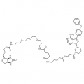 anti-HYAL1 antibody (Hyaluronidase-1) (N-Term)
