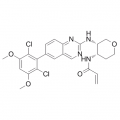 anti-HYAL1 antibody (Hyaluronidase-1) (N-Term)