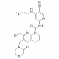 anti-HYAL1 antibody (Hyaluronidase-1) (N-Term)