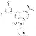 anti-HYAL1 antibody (Hyaluronidase-1) (N-Term)