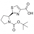 anti-HYAL1 antibody (Hyaluronidase-1) (N-Term)