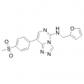 anti-HYAL1 antibody (Hyaluronidase-1) (N-Term)