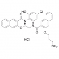 anti-HYAL1 antibody (Hyaluronidase-1) (N-Term)
