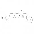 anti-HYAL1 antibody (Hyaluronidase-1) (N-Term)