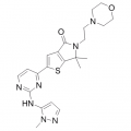 anti-HYAL1 antibody (Hyaluronidase-1) (N-Term)