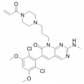 anti-HYAL1 antibody (Hyaluronidase-1) (N-Term)