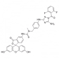 anti-HYAL1 antibody (Hyaluronidase-1) (N-Term)